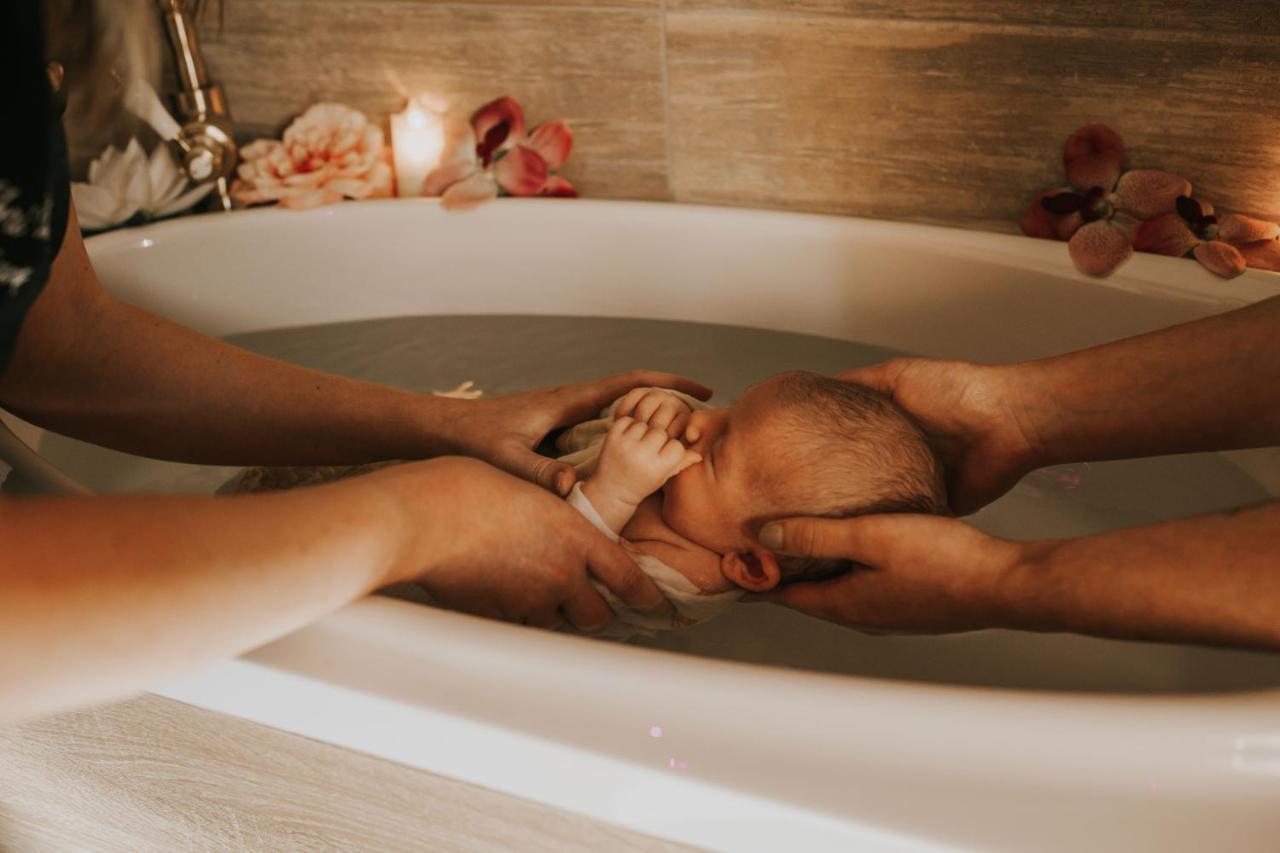 סן-ז'יל Abri Cosy - Suite Romantique En Camargue מראה חיצוני תמונה